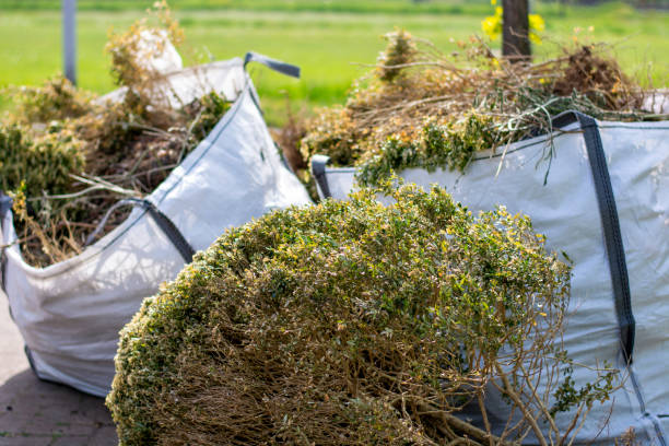 Best Property Management Cleanouts  in Taylor Creek, FL